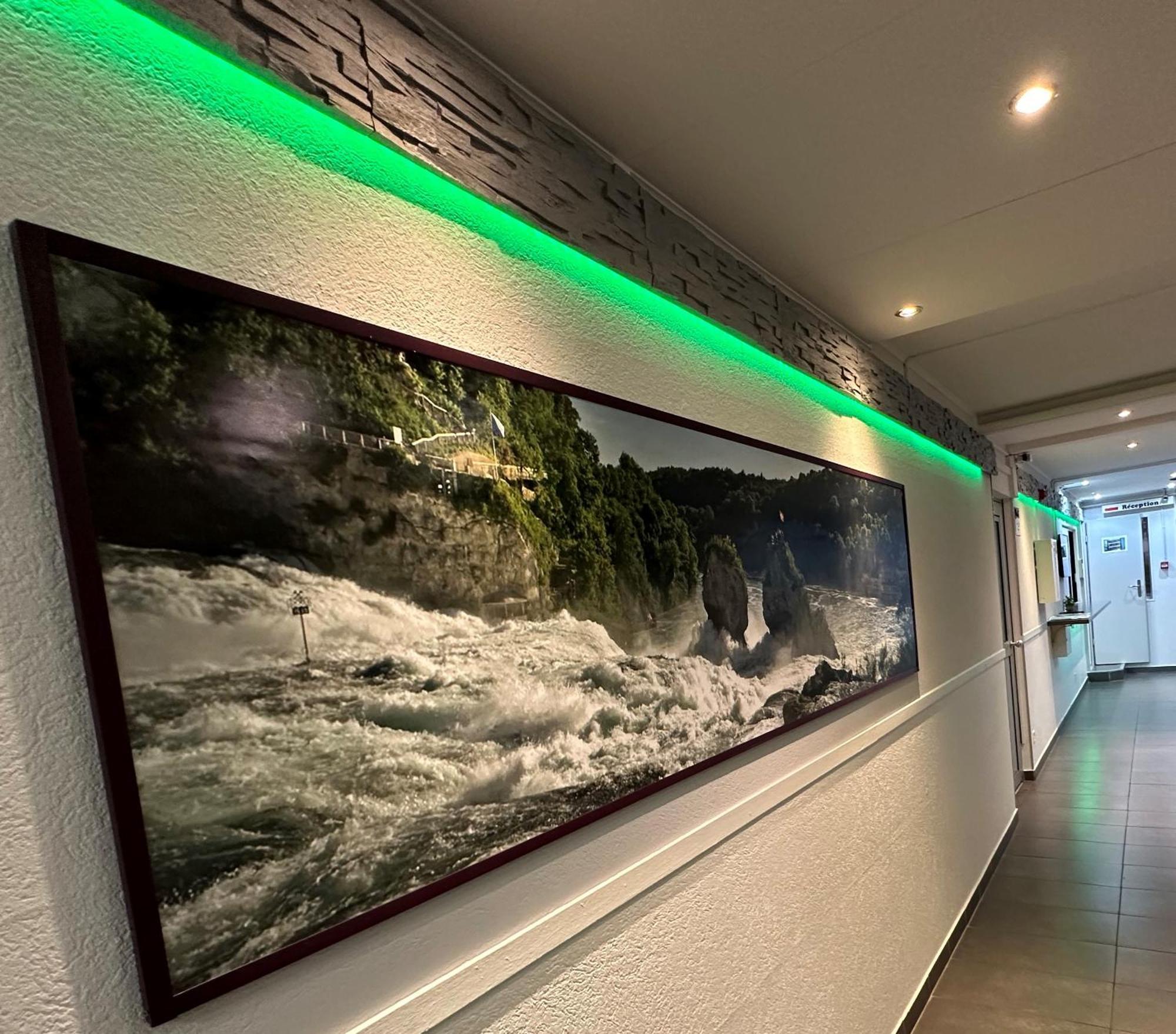 Hotel Rheinfall Schaffhausen Exterior foto
